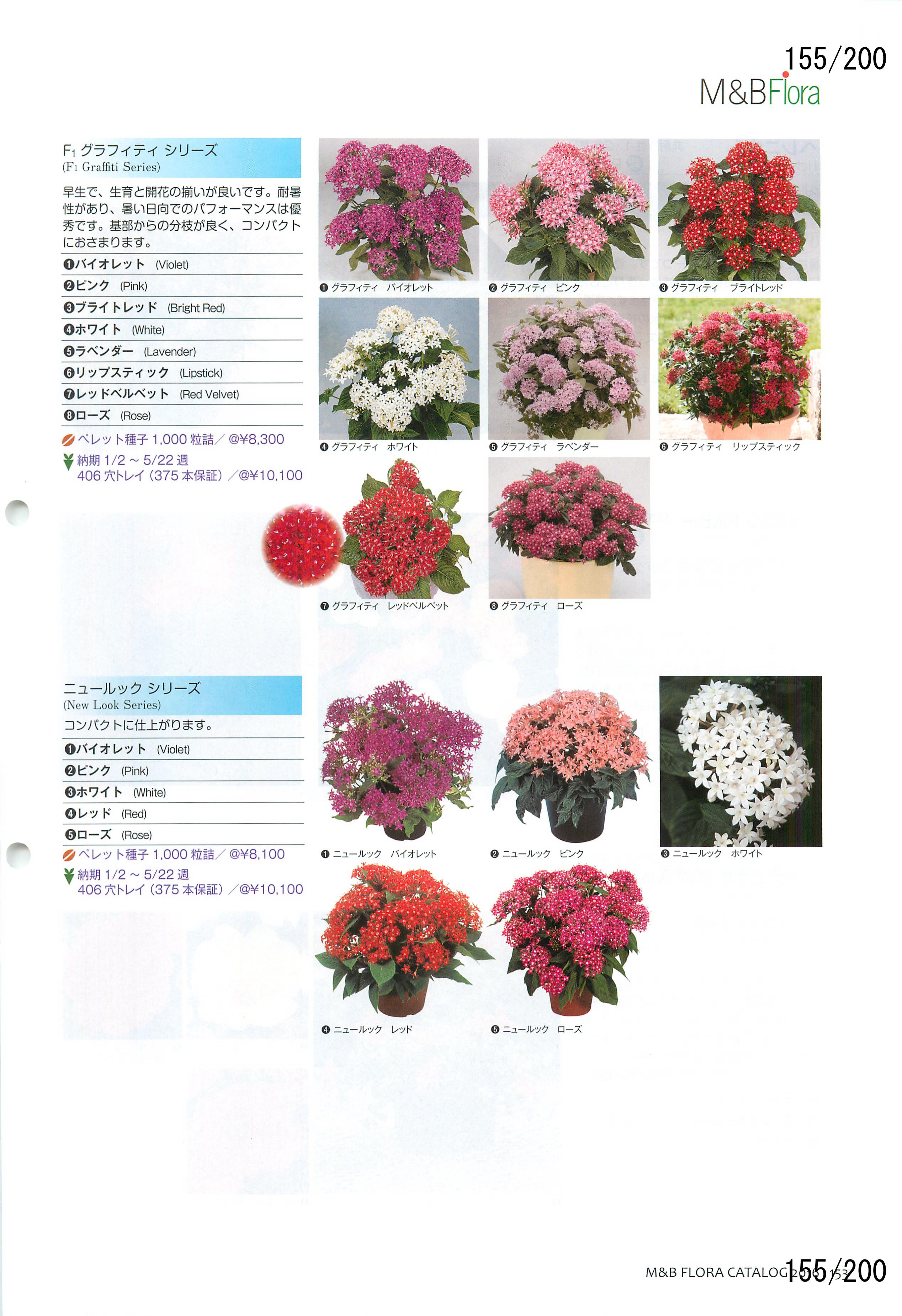 M&B Flora Vol.20F155y[W