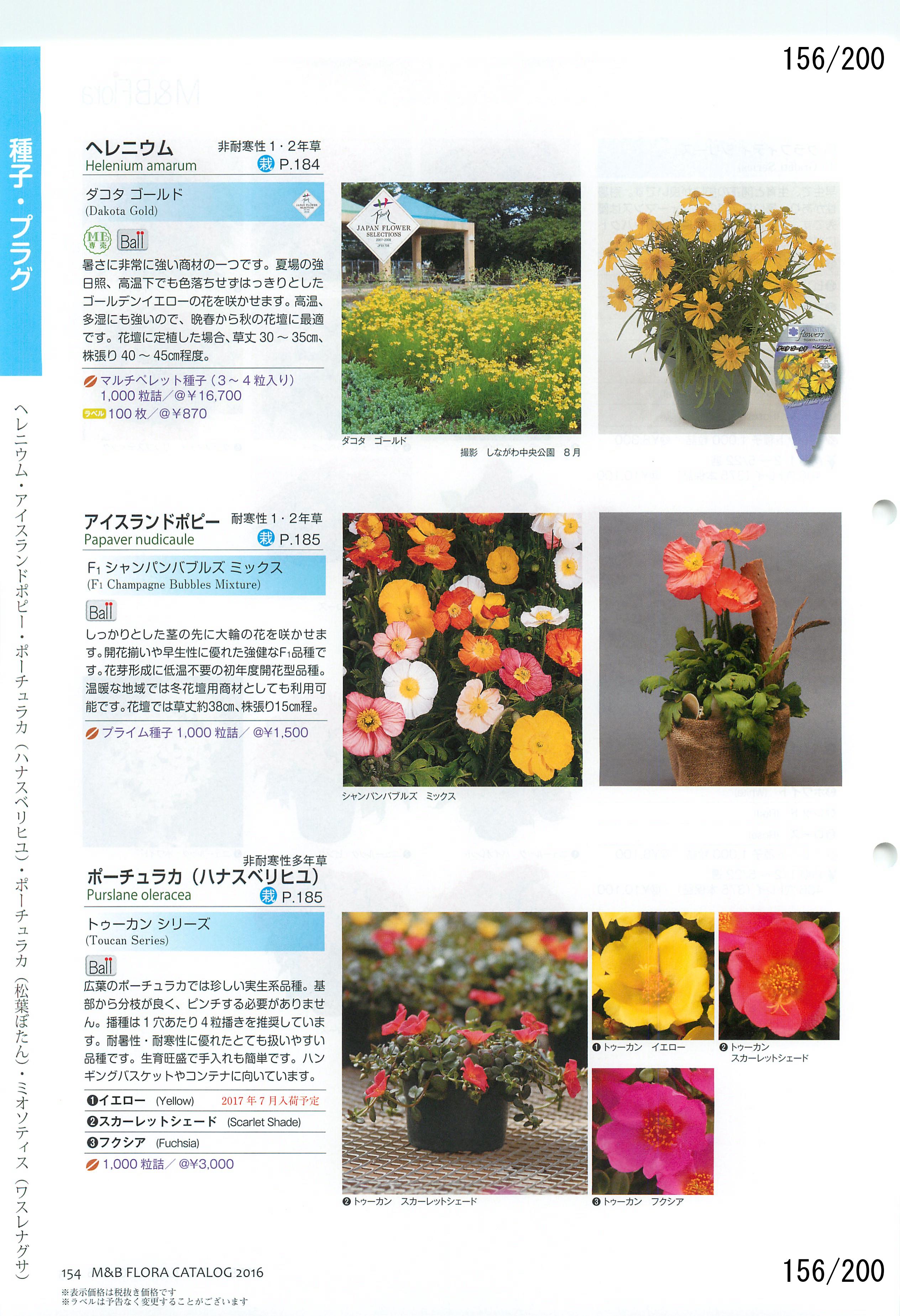 M&B Flora Vol.20F156y[W