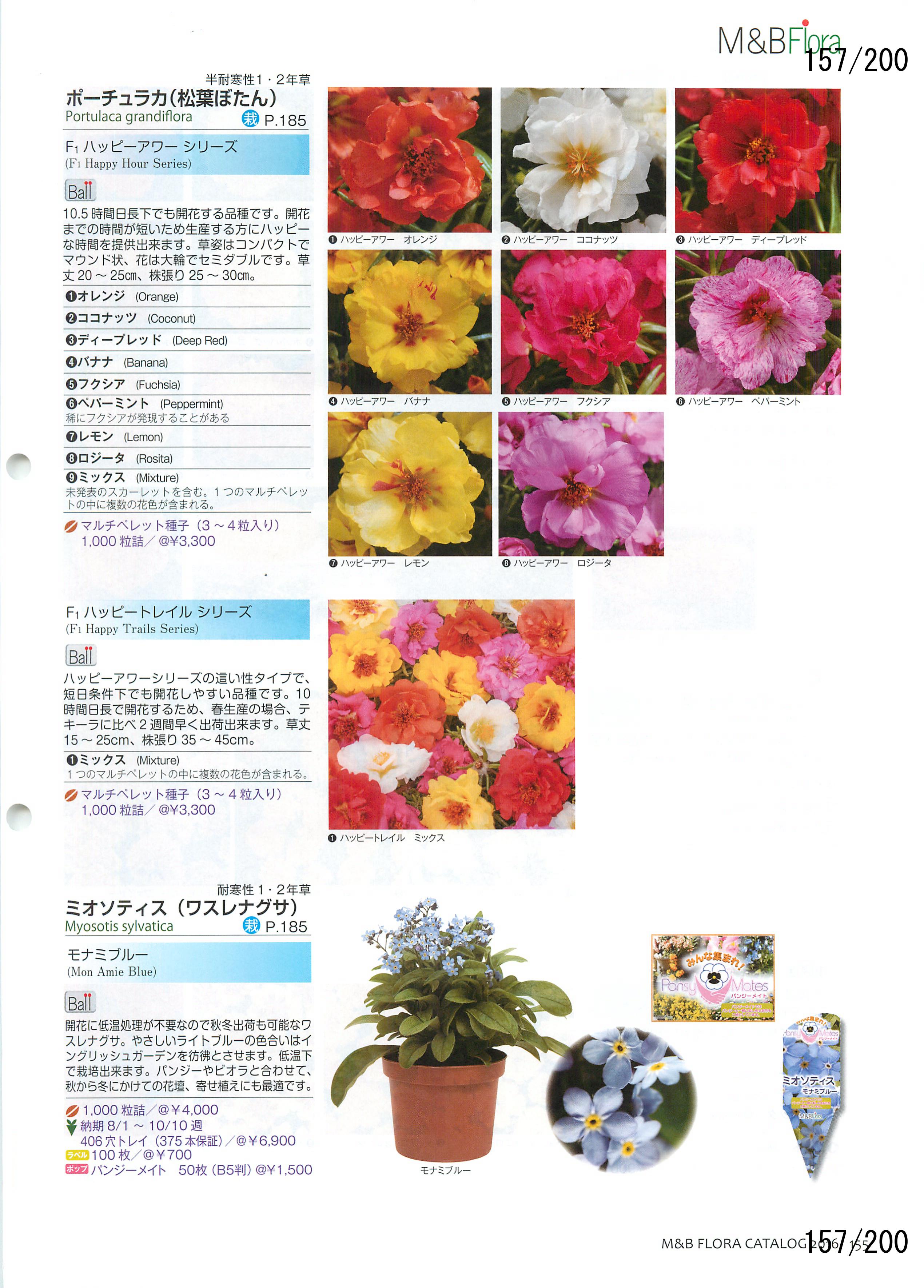 M&B Flora Vol.20F157y[W