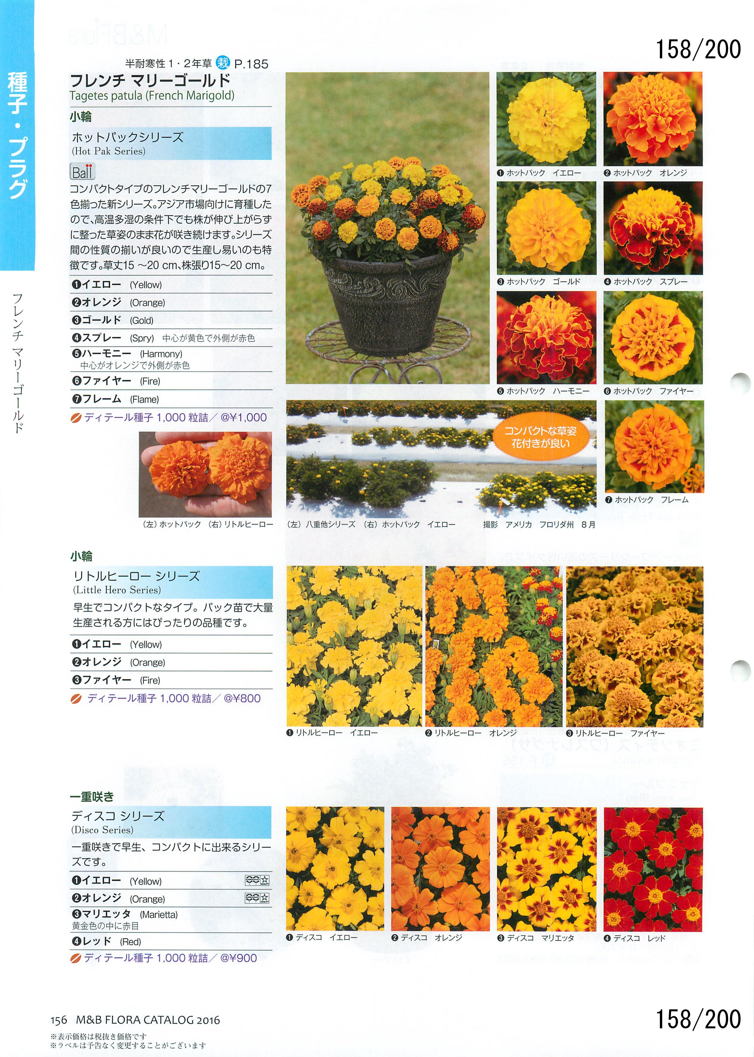 M&B Flora Vol.20F158y[W