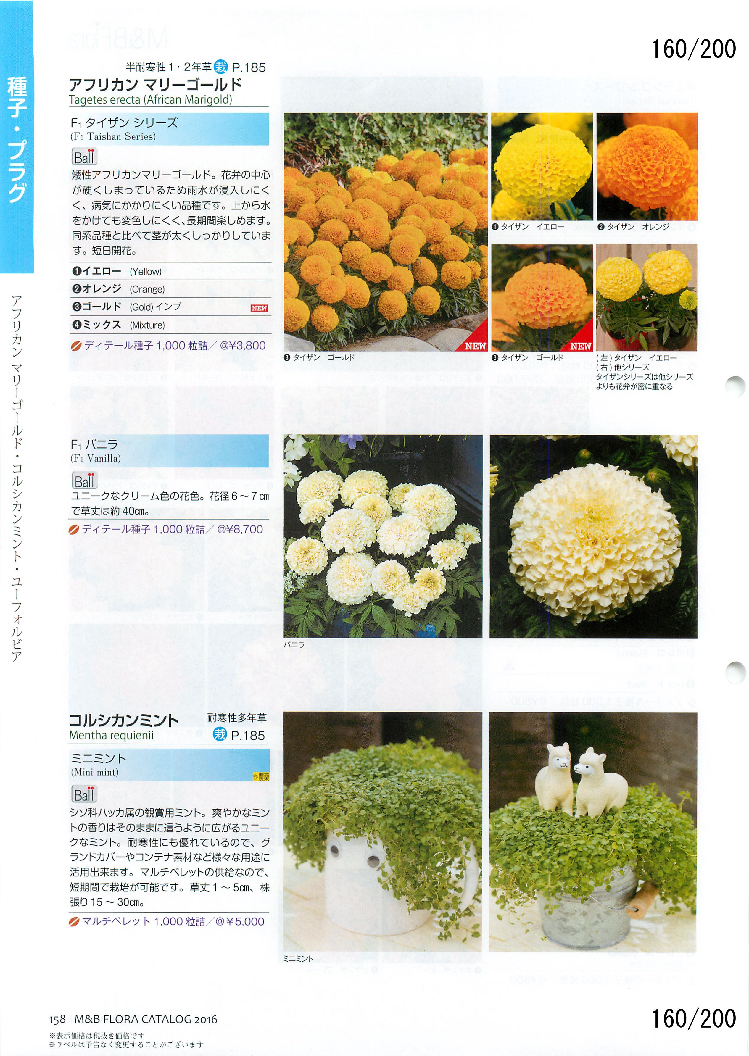 M&B Flora Vol.20F160y[W