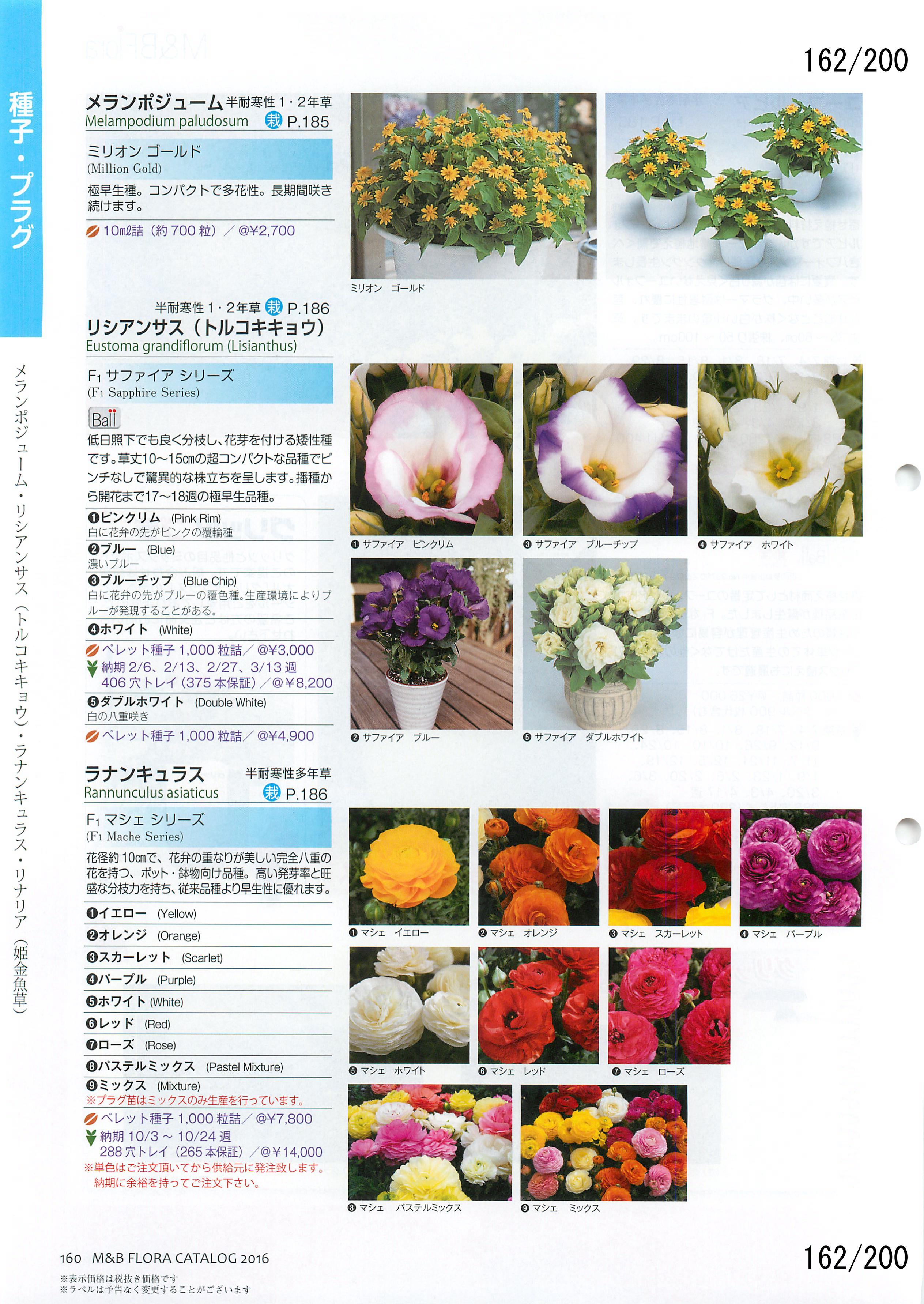 M&B Flora Vol.20F162y[W