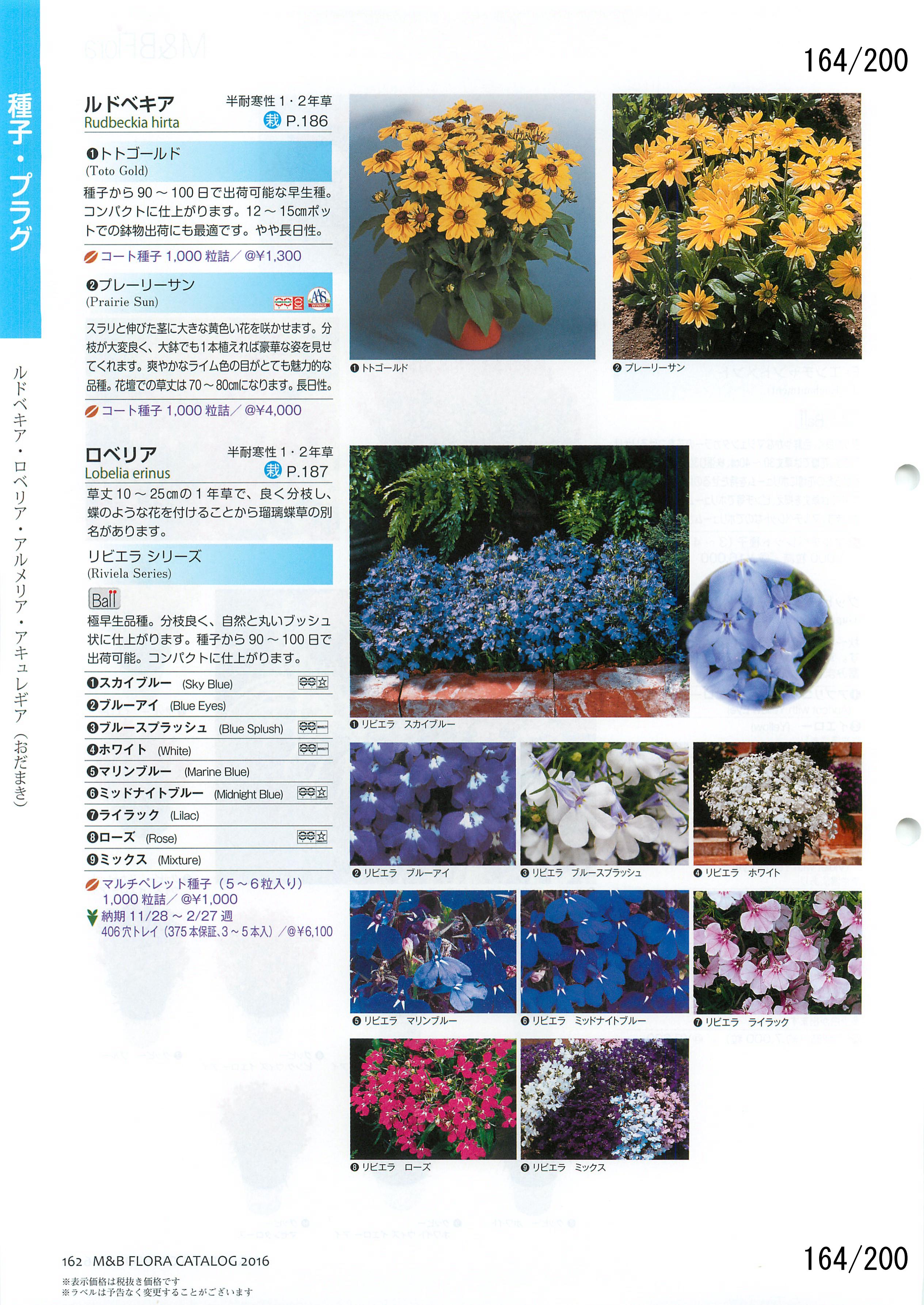 M&B Flora Vol.20F164y[W