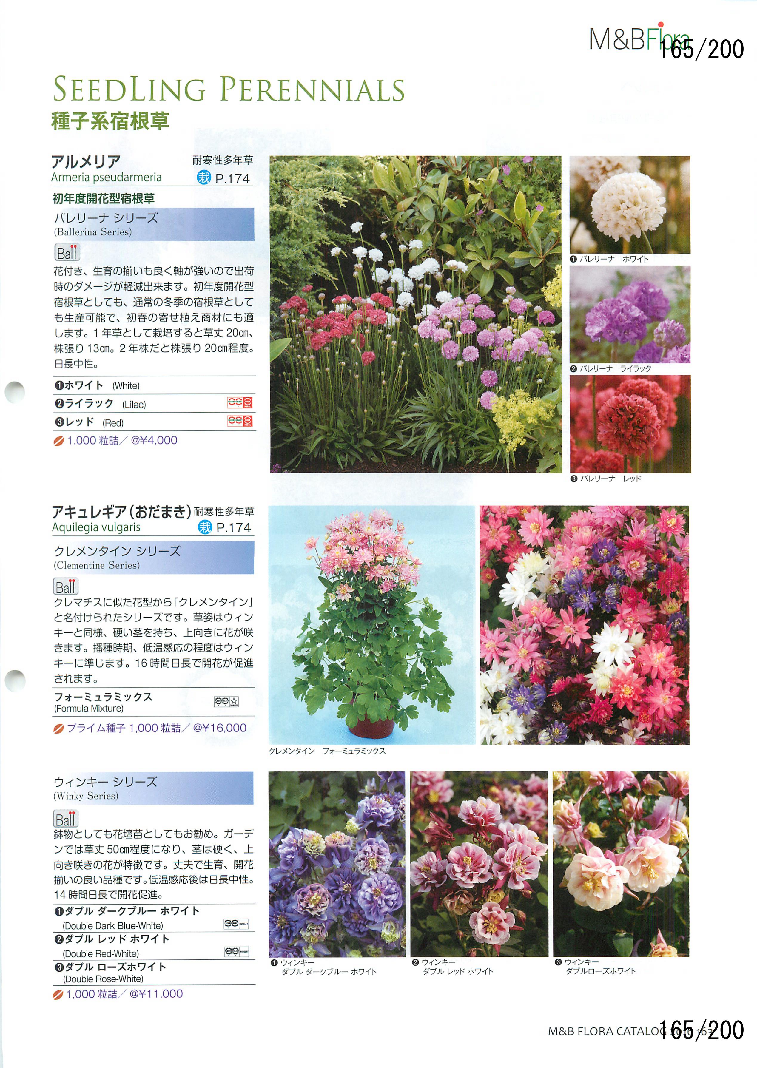 M&B Flora Vol.20F165y[W
