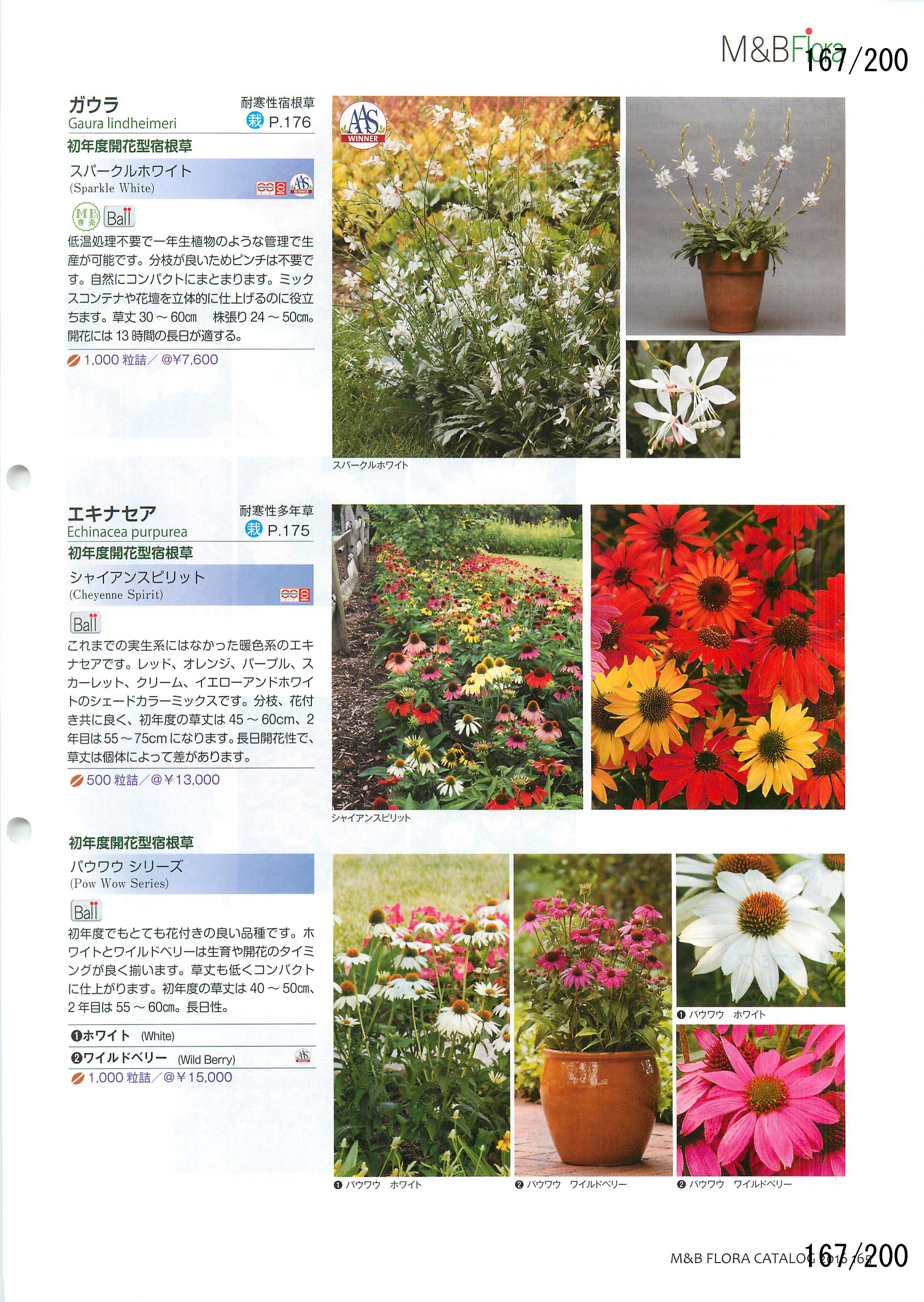 M&B Flora Vol.20F167y[W