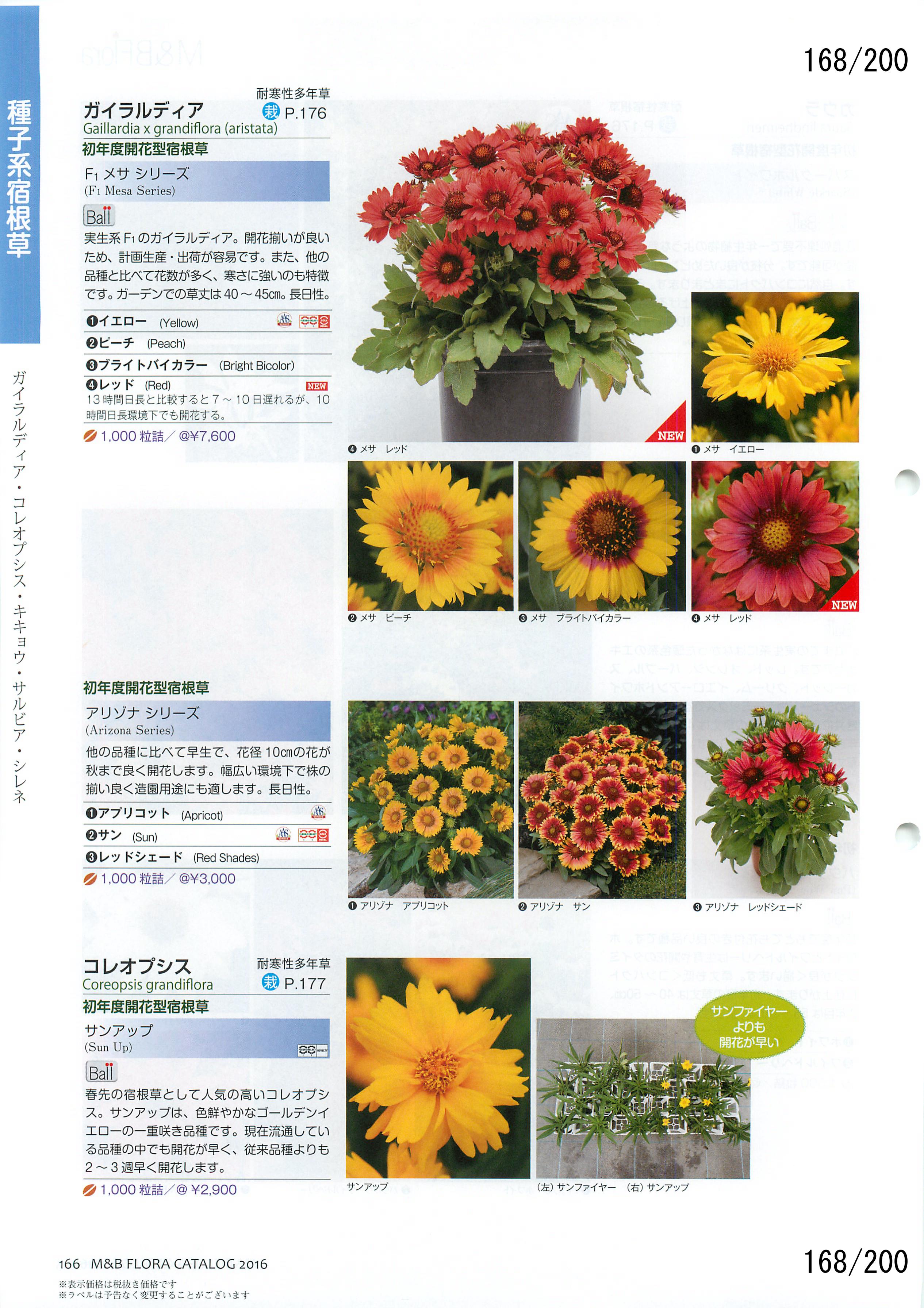 M&B Flora Vol.20F168y[W