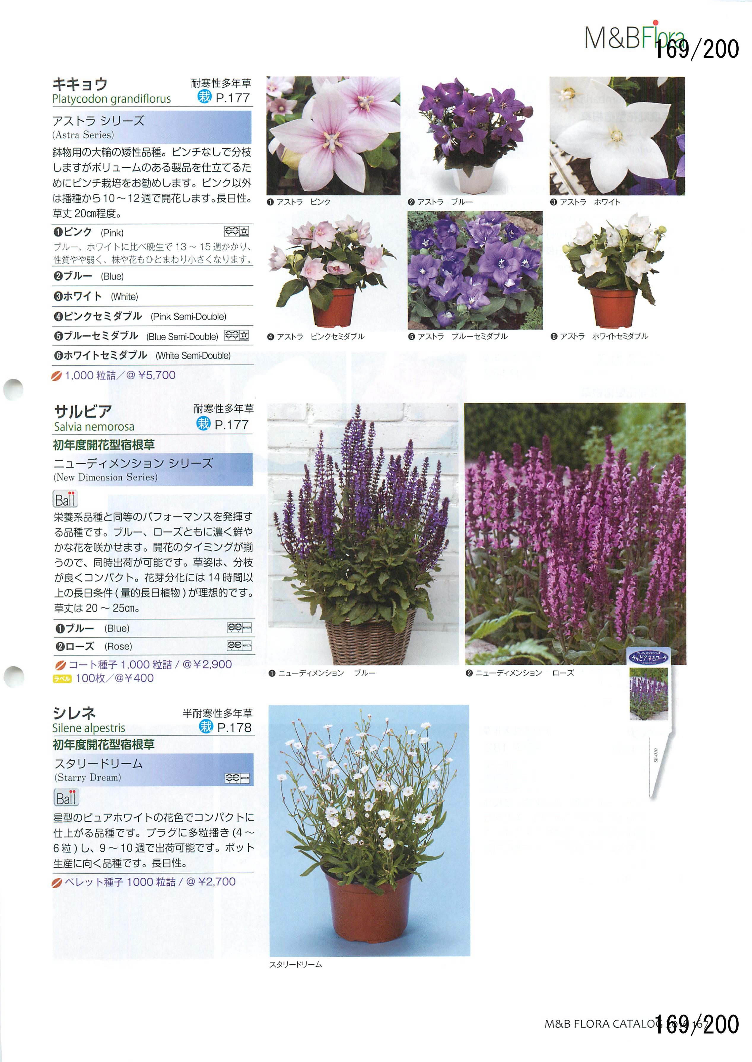M&B Flora Vol.20F169y[W