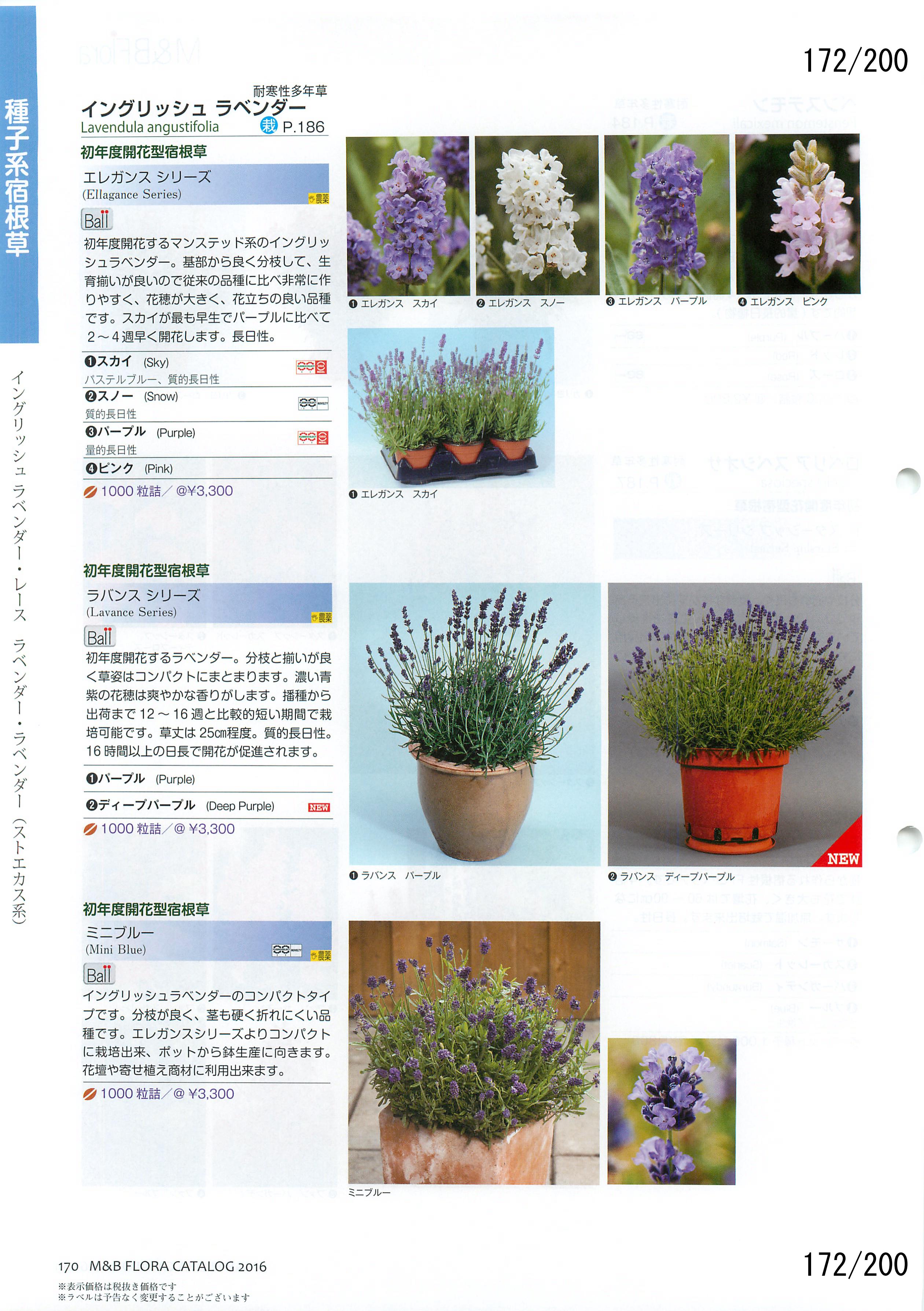 M&B Flora Vol.20F172y[W