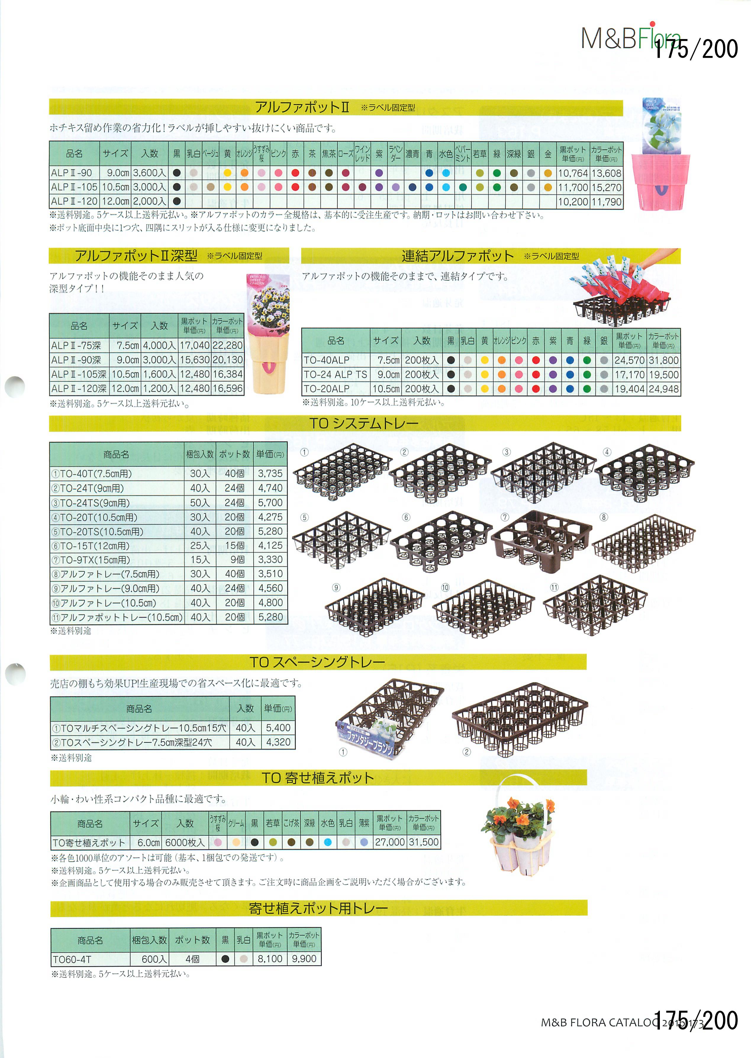 M&B Flora Vol.20F175y[W