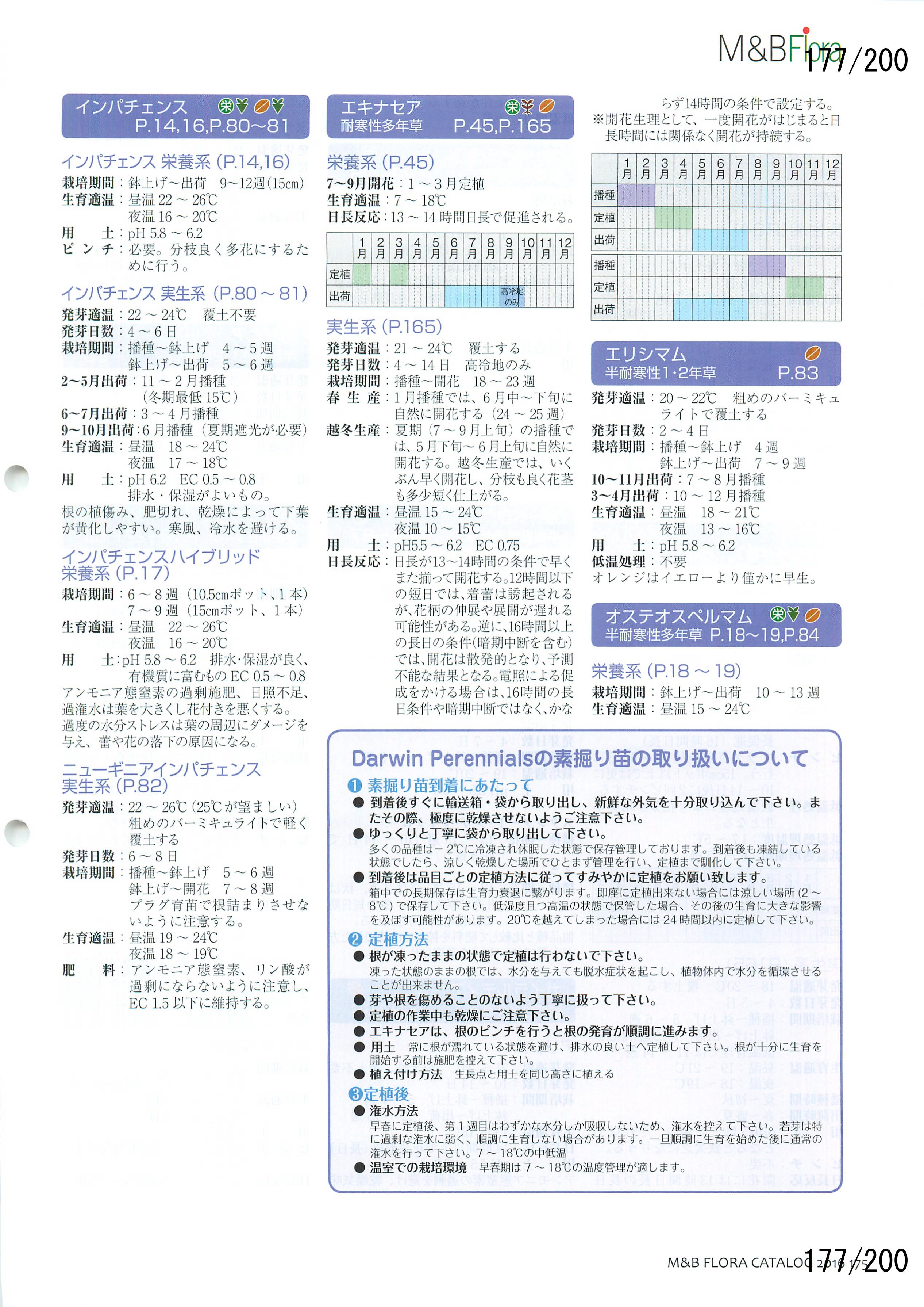 M&B Flora Vol.20F177y[W