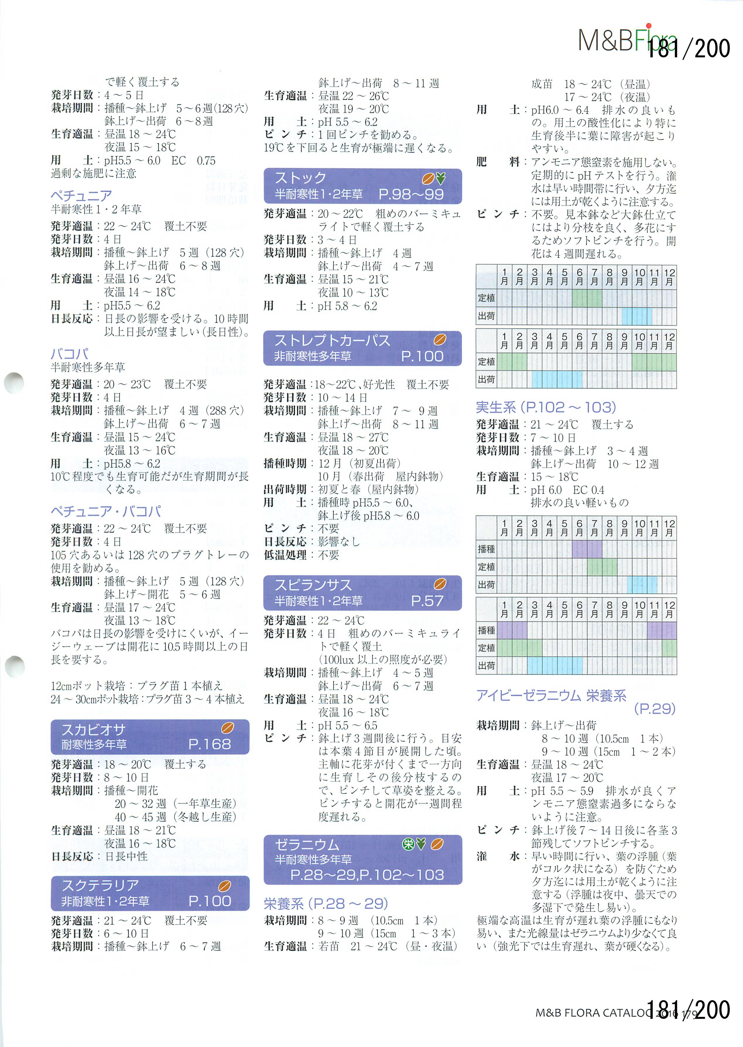 M&B Flora Vol.20F181y[W