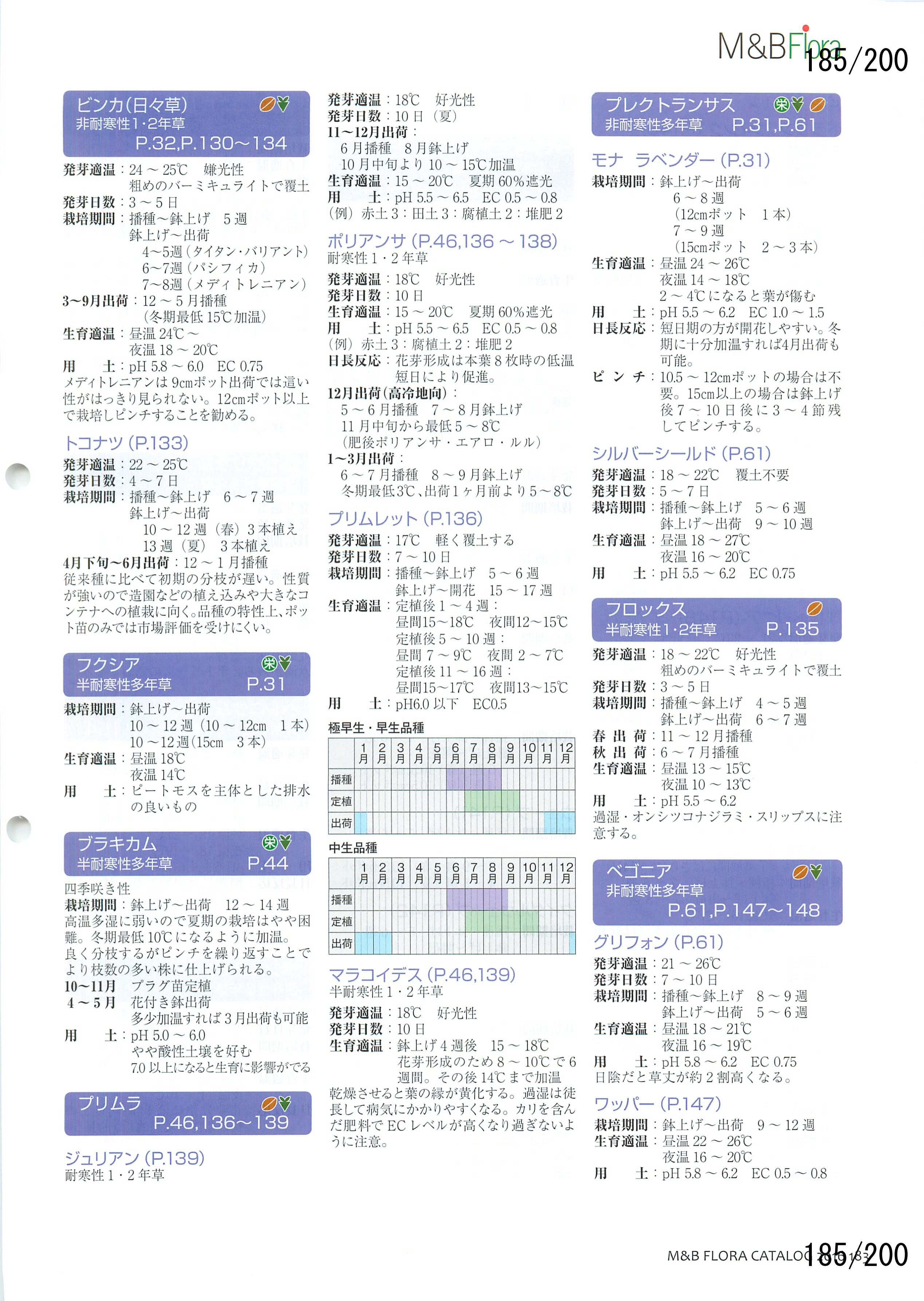 M&B Flora Vol.20F185y[W