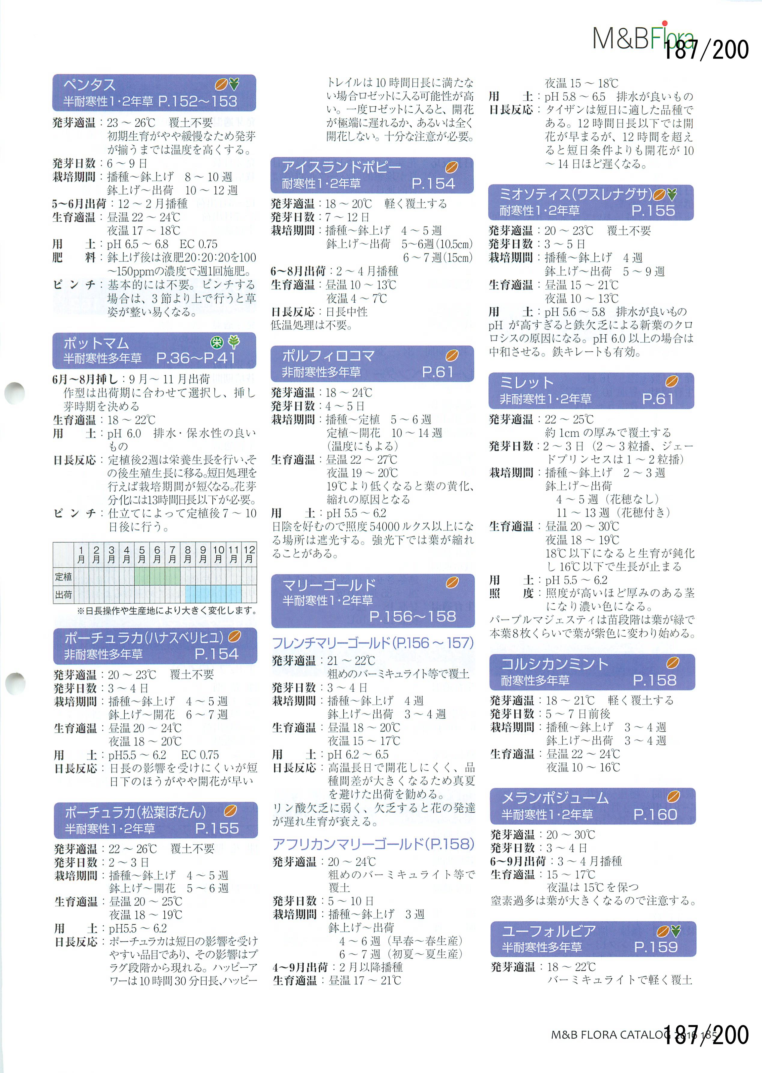 M&B Flora Vol.20F187y[W