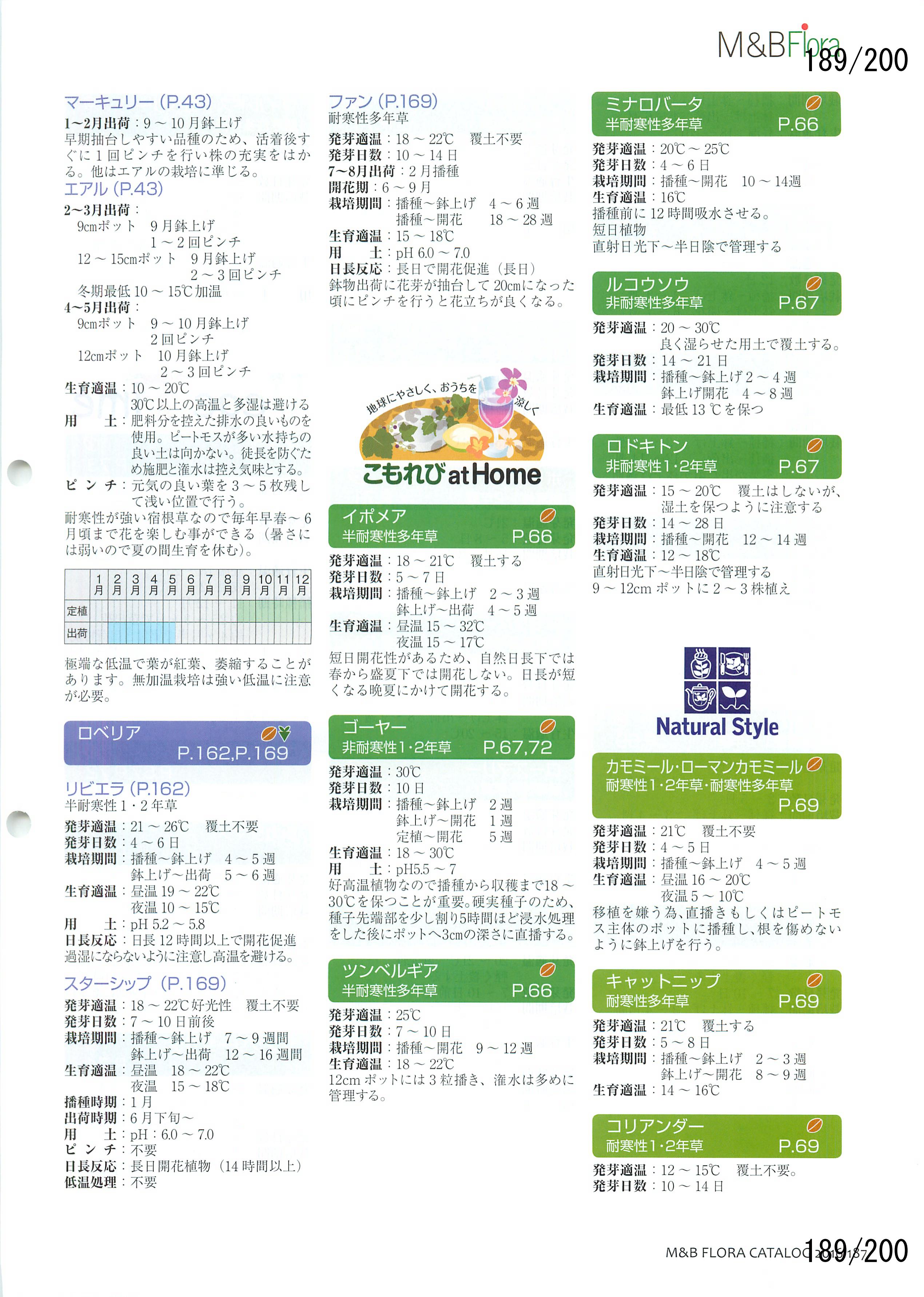 M&B Flora Vol.20F189y[W