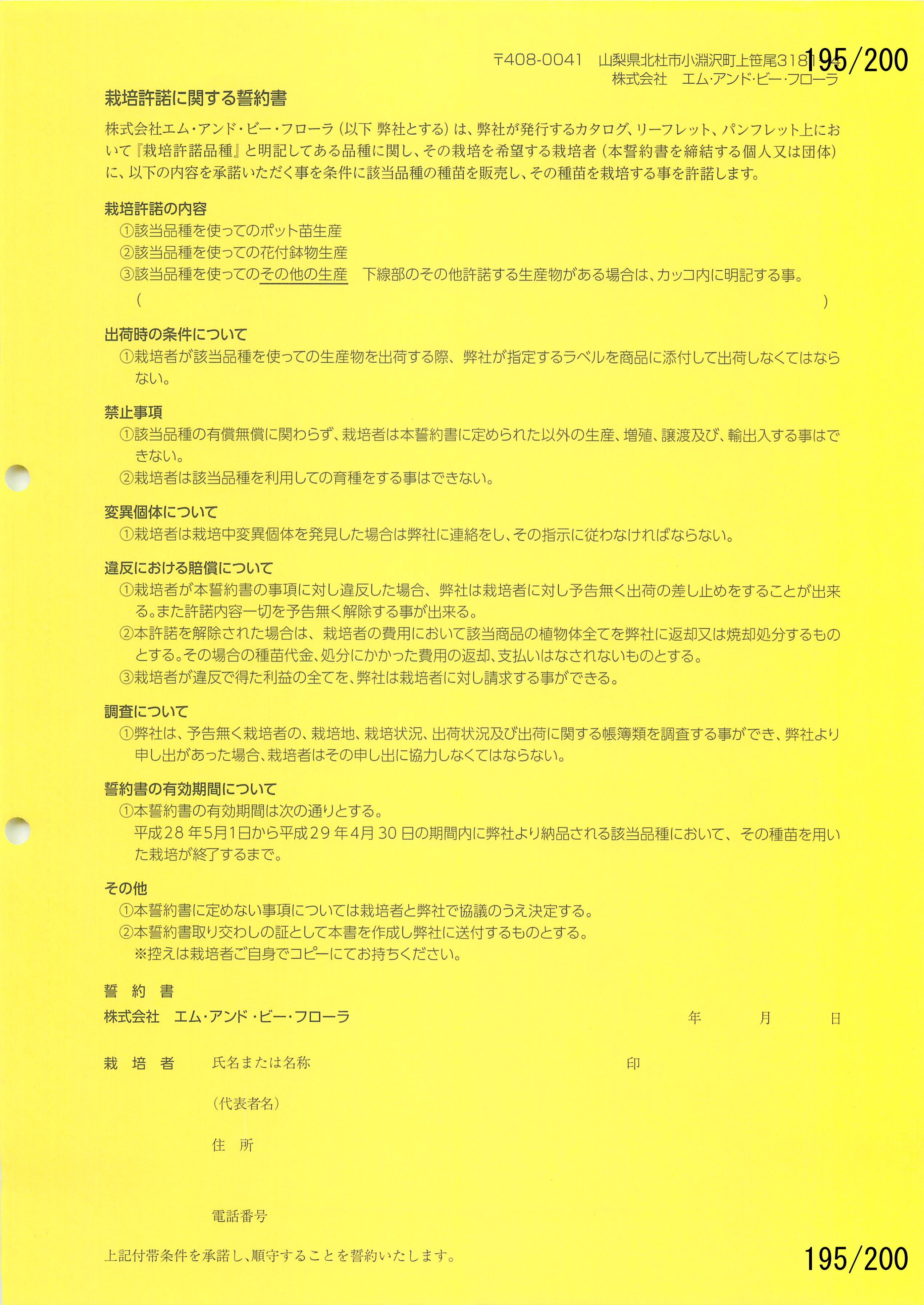 M&B Flora Vol.20F195y[W