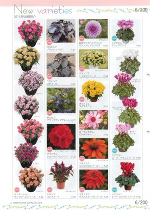 mbf_006