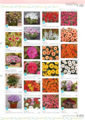 mbf_007