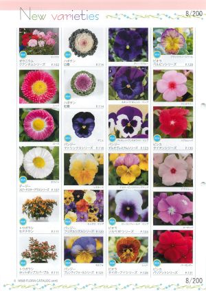 mbf_008