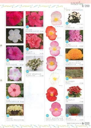 mbf_009