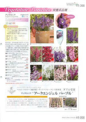 mbf_017