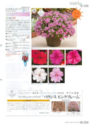 mbf_019