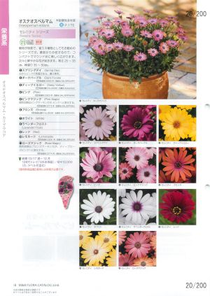 mbf_020