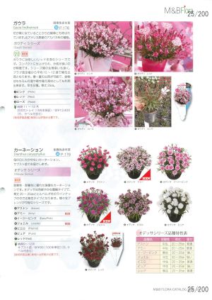mbf_025