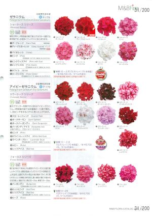 mbf_031