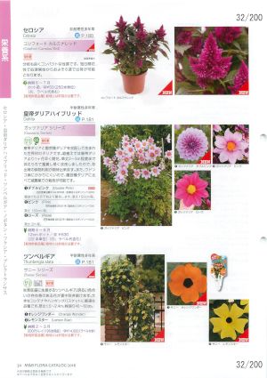 mbf_032