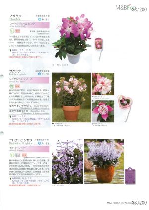 mbf_033