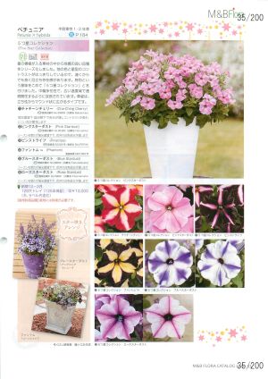 mbf_035