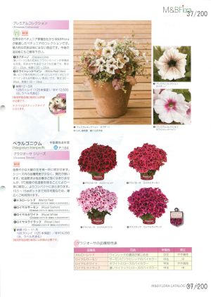 mbf_037