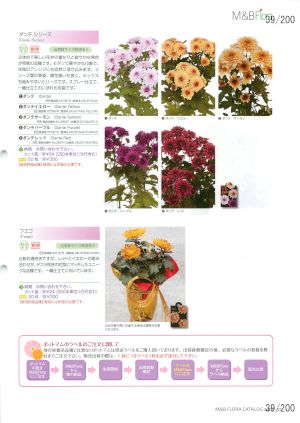 mbf_039