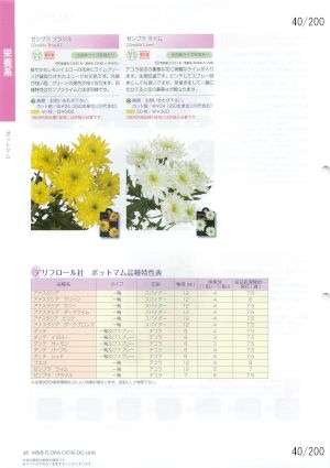 mbf_040