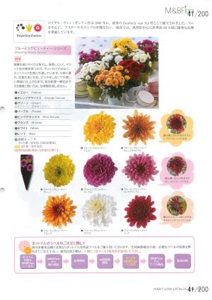 mbf_041