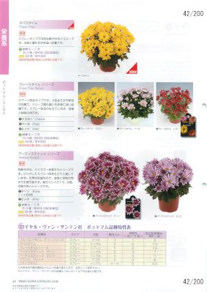 mbf_042