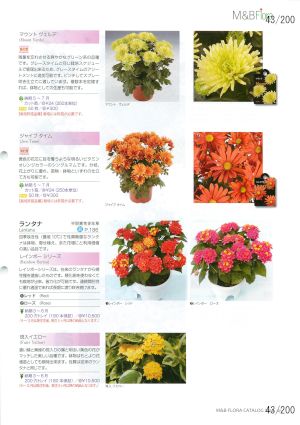 mbf_043