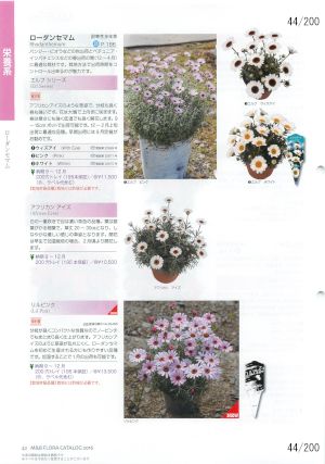 mbf_044