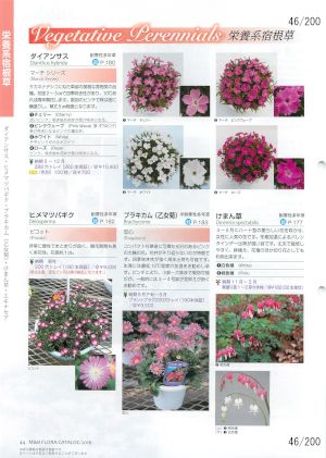 mbf_046