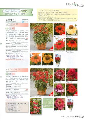 mbf_047