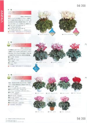 mbf_054