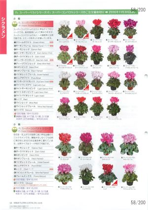 mbf_058