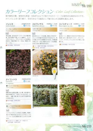 mbf_059