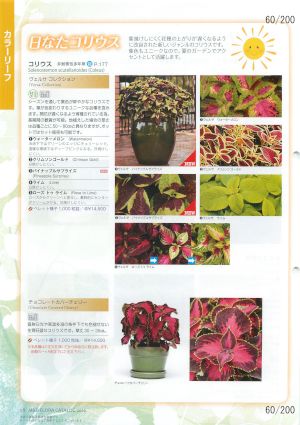 mbf_060