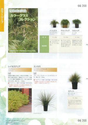 mbf_064
