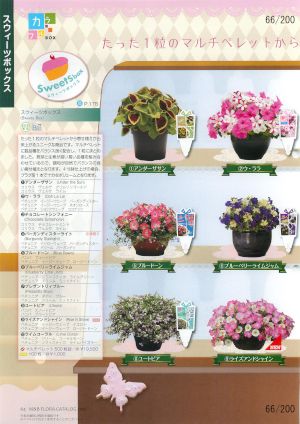 mbf_066