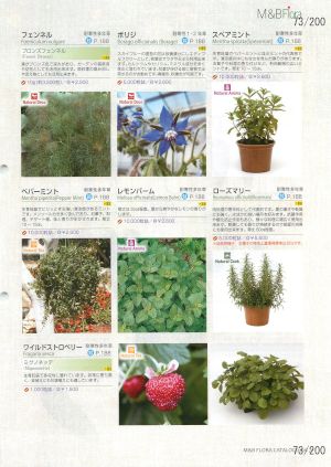 mbf_073