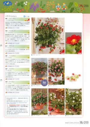 mbf_075