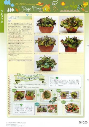 mbf_076
