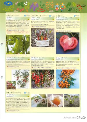 mbf_077